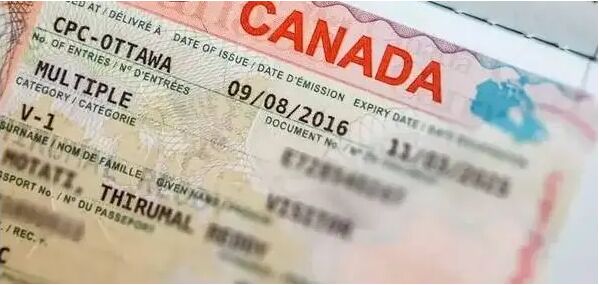 加拿大签证申请：我们为什么不用IRCC Portal Account来申请？