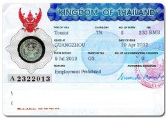 办理泰国精英签证需要什么条件？提交哪些材料呢？