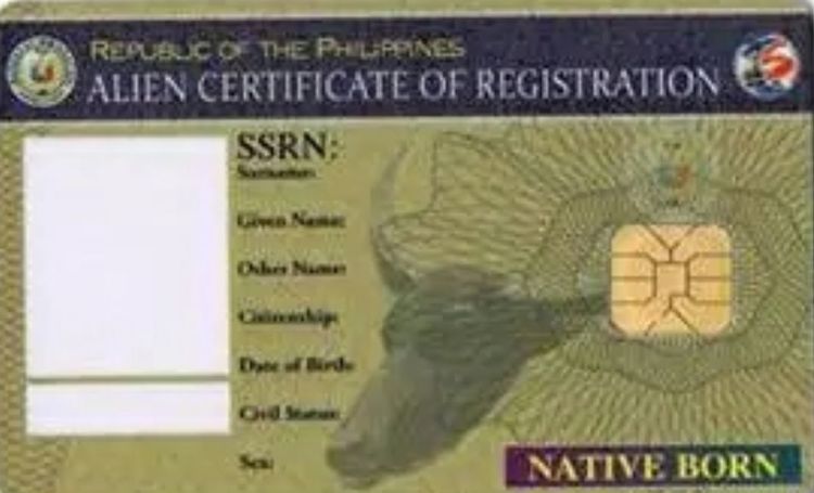 菲律宾本地出生的外国国籍