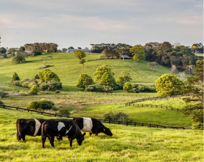 澳大利亚9月农业签证：名额无上限有望转永居