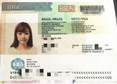 办理巴西商务签证需要提交哪些材料呢？
