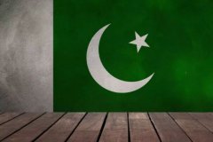 你知道怎么使用巴基斯坦电子签证吗？