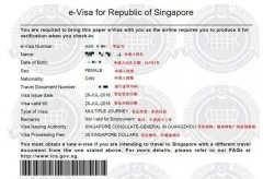新加坡工作签证EP/SP/WP/LTVP/DP都是什么意思？