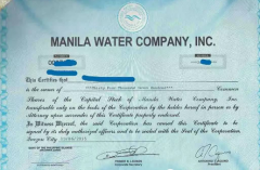 菲律宾旅行证可以直接回国吗，证件丢失了要怎么办