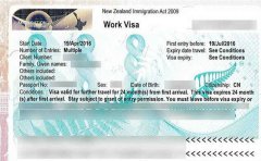 新西兰最常见的工作签证大全
