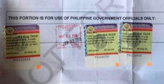 在菲律宾只有旅行证能够回国吗