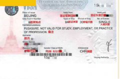 怎么申请菲律宾入籍，有哪几种形式