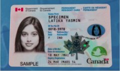 持加拿大签证或枫叶卡可自由免签哪些国家呢？