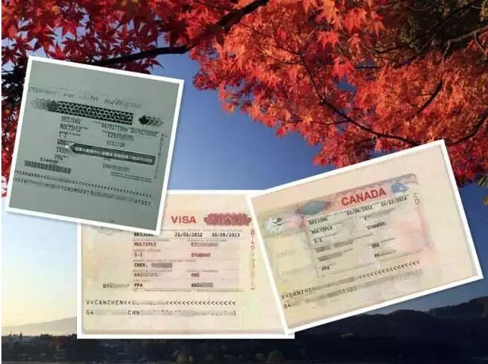 “陪读”签证也可以移民加拿大？有哪些途径？